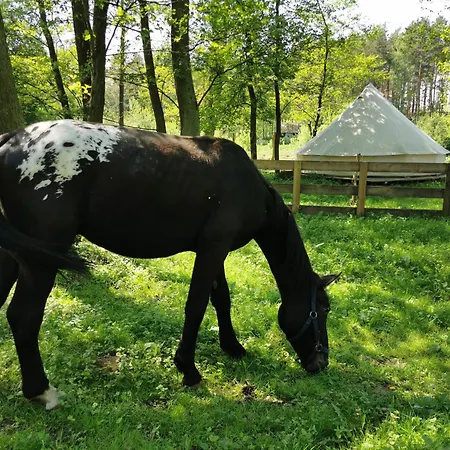 Glamping Kaliska