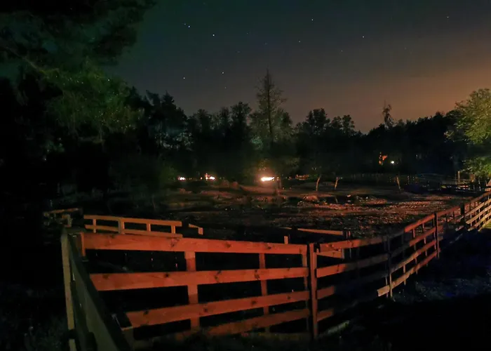 Glamping Kaliska Luksusowy namiot